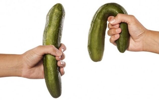 오이의 예를 들어 좋은 효능과 약한 효능