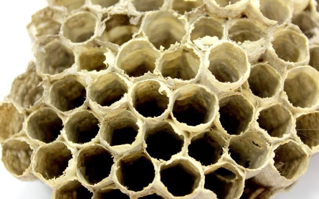 효능을 증가시키는 꿀벌 접착제